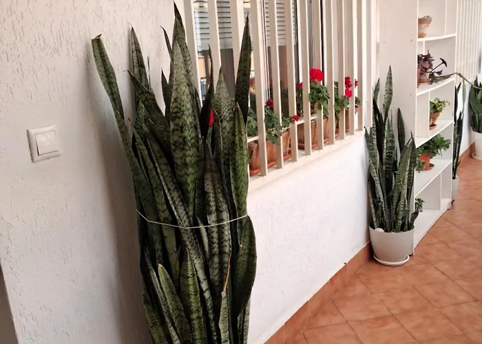 Appartement Victoria Boutique De